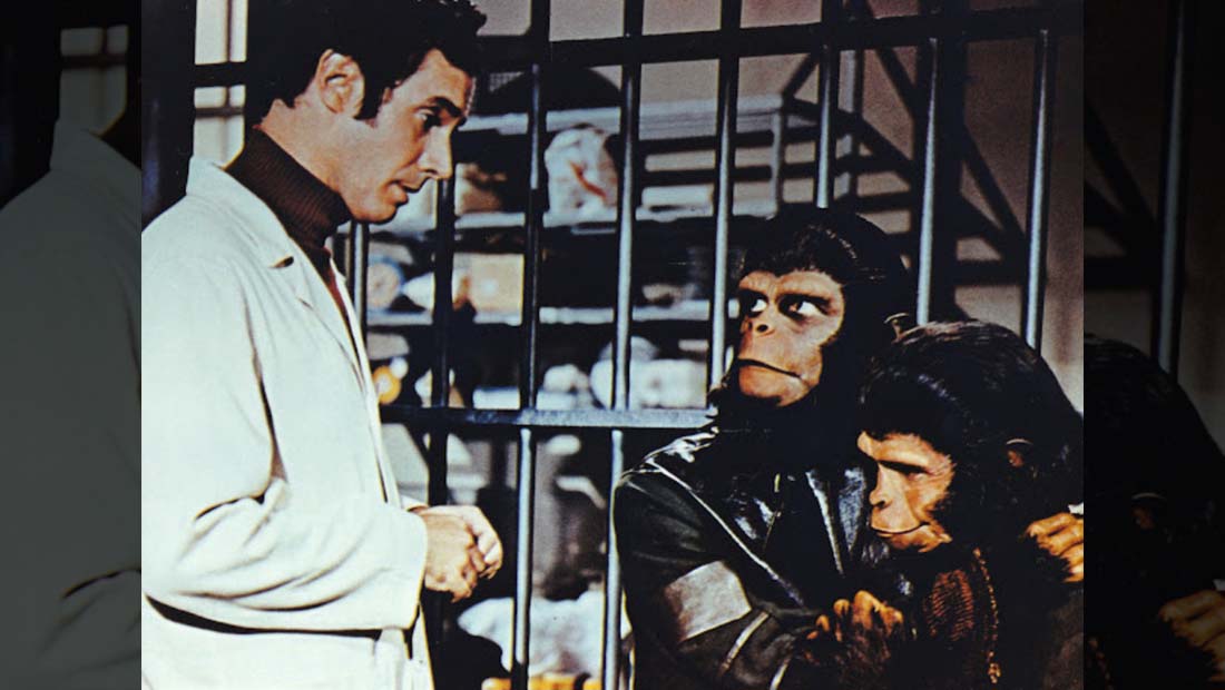 Episode #254: Pamela Dillman (Bradford Dillman, Suzy Parker)